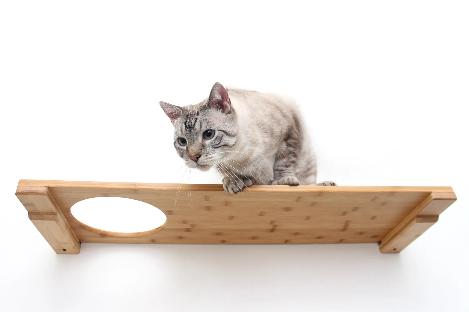 Wall-Mounted Cat Shelf