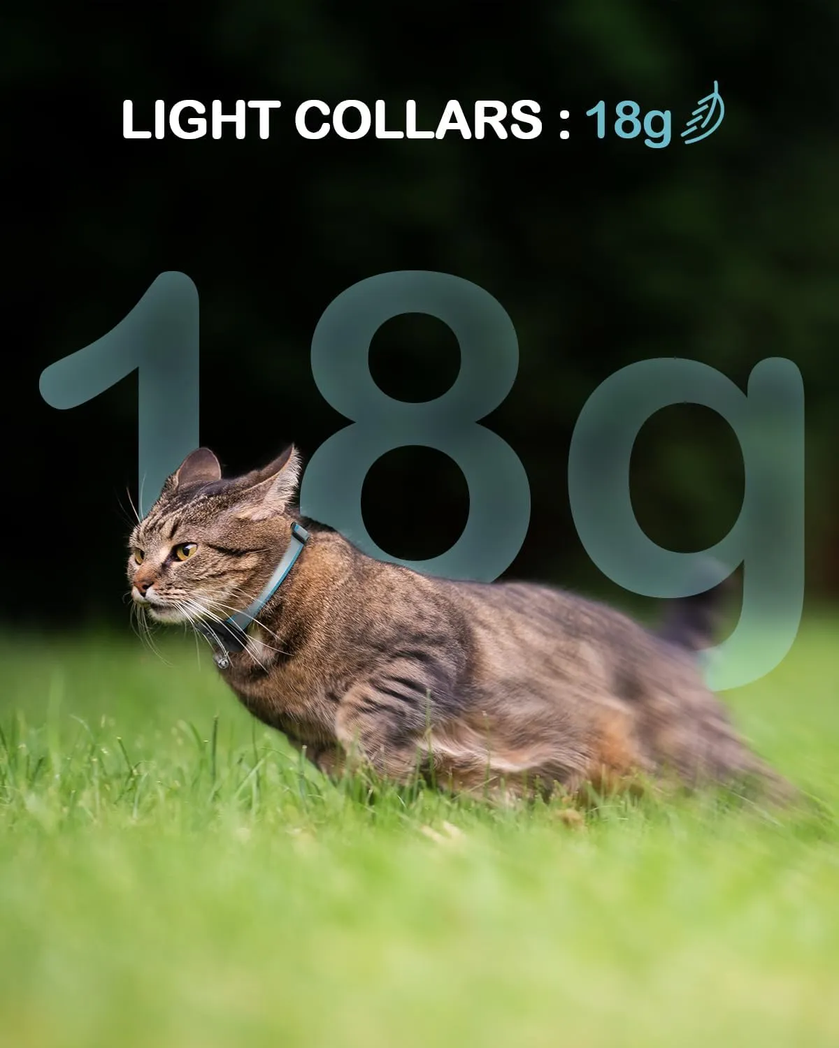 Waterproof Airtag Cat Collar, Breakaway Cat Collars with Luminous & Reflective Strap for Apple Air tag, Kitten Safety Elastic Band, Lightweight Hidden GPS Tracker Holder(Pink, 9"-14")
