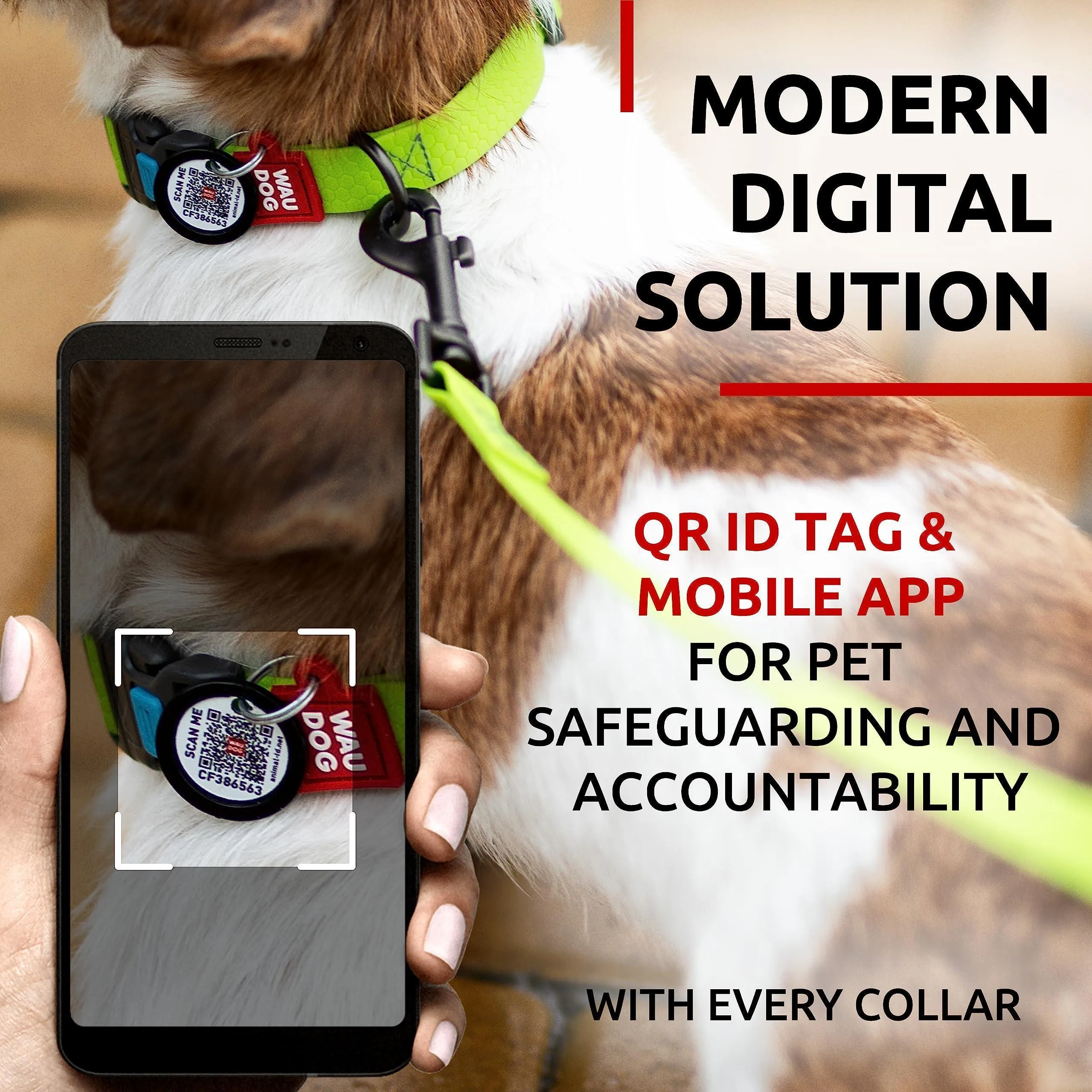 Waterproof Dog Collar Adjustable Dog Collar 914 in Neck x 3/5 in Wide