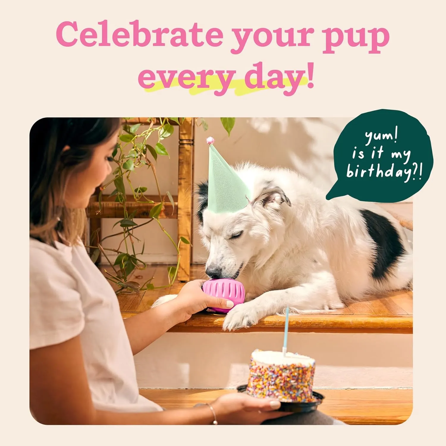WOOF Party Pupsicle - Long-Lasting Interactive Dog Toys for Boredom - Low-Mess Design - Birthday Gifts for Dogs - Small Dog Toys - Party Pink