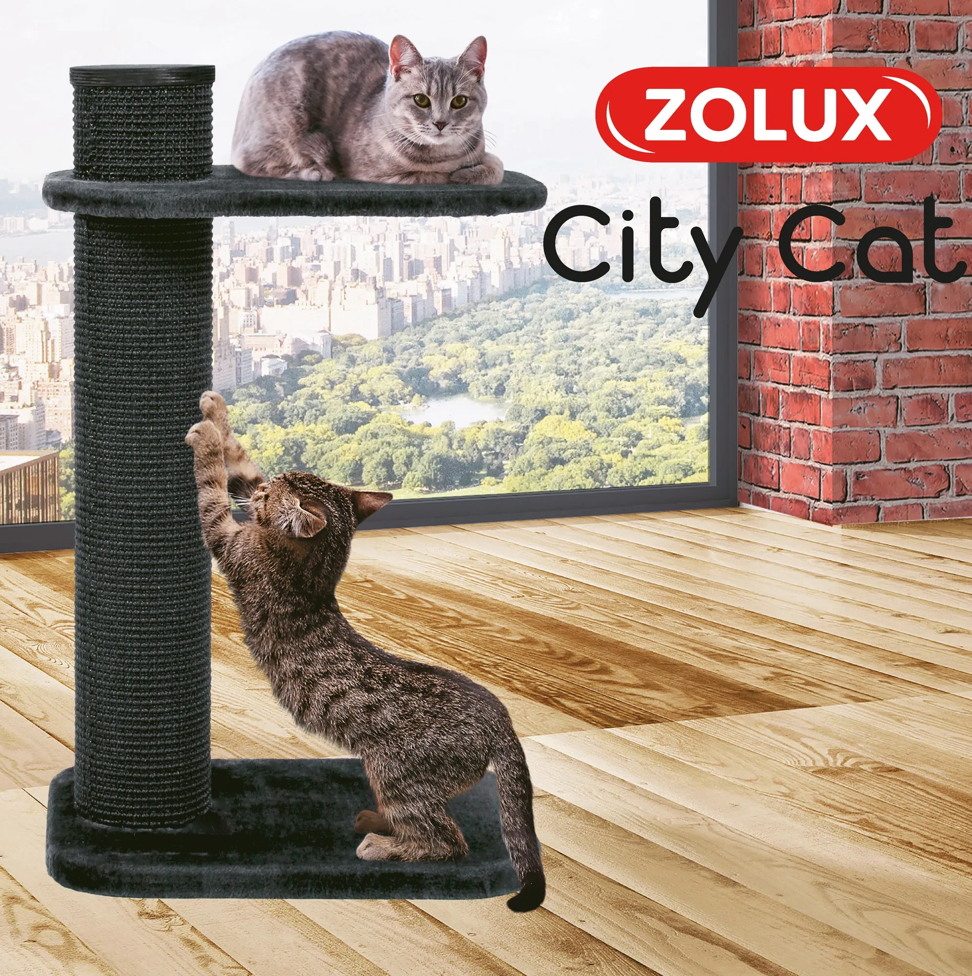 Zolux City Cat 2 Scratching Post with Platform - 59 x 45 x 97 cm
